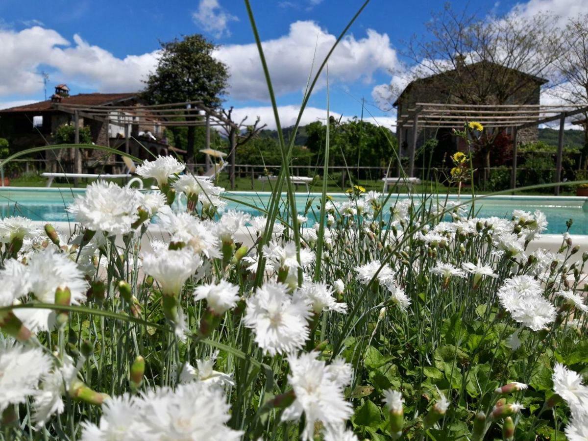Agriturismo Chioi Barga Exteriör bild